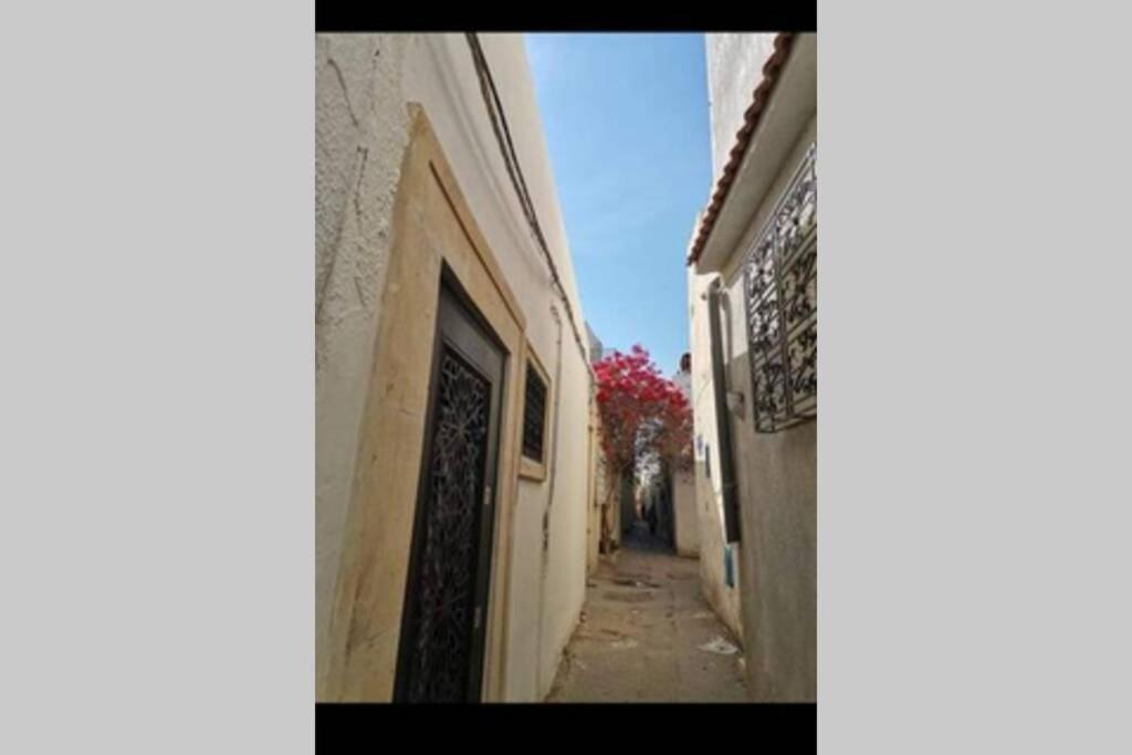 דירות תוניס Dar El Halfaouine מראה חיצוני תמונה